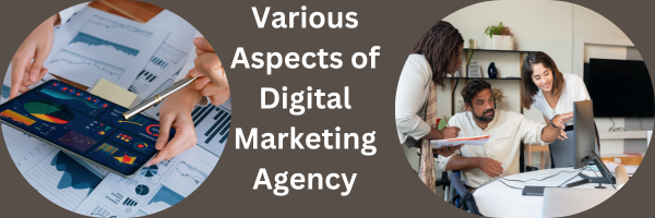 DIGITAL MARKETING AGENCY