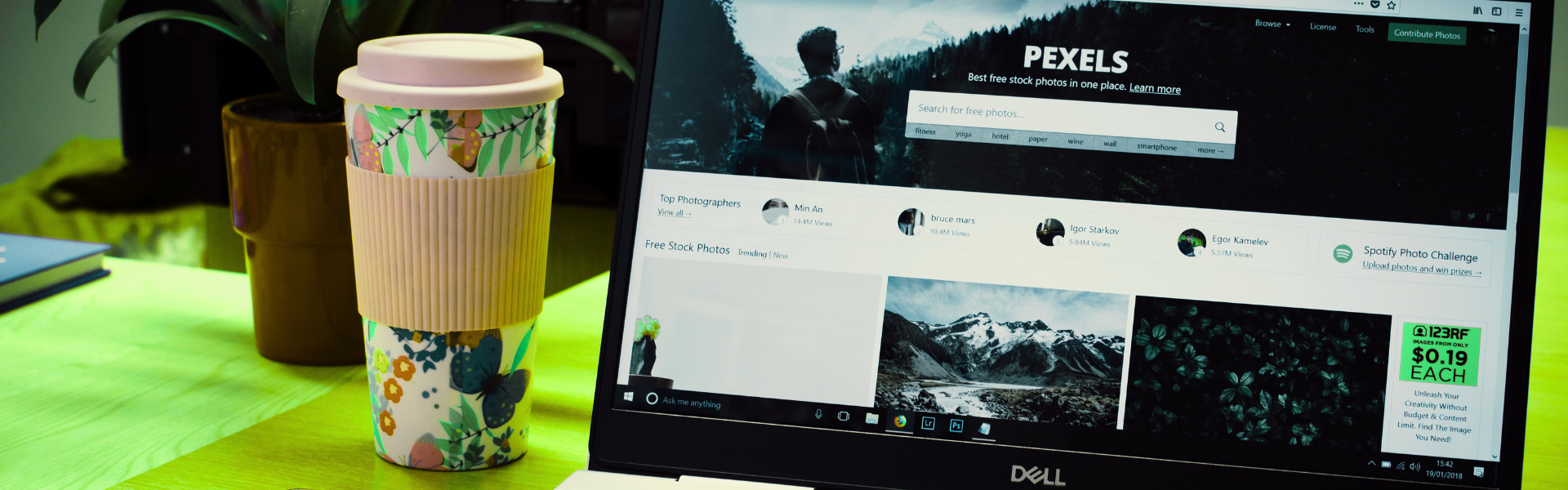 DTM WEB DEVELOPMENT SERVICES